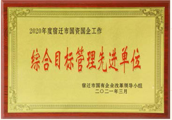 2020年度宿迁市国资国企工作综合目标管理先进单位